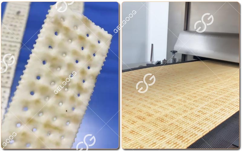Soda Cracker Processing Line