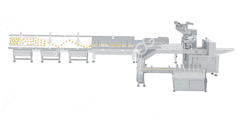 Multi Pack Biscuit Packing Machine