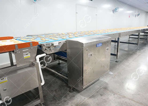 Cooling Line for Biscuits