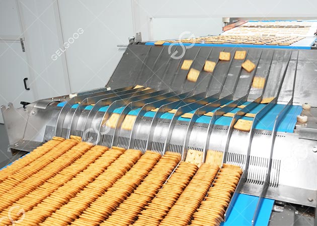 Biscuit Processing Machinery