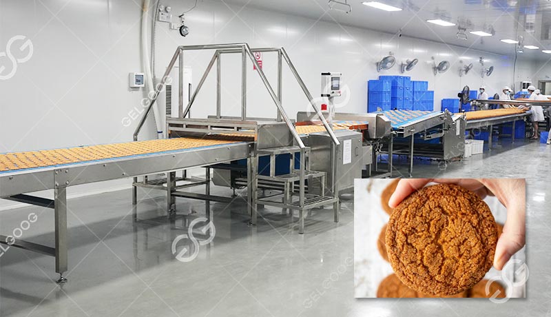 Ginger Biscuit Production Line