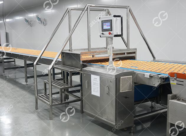 Biscuit Making Business