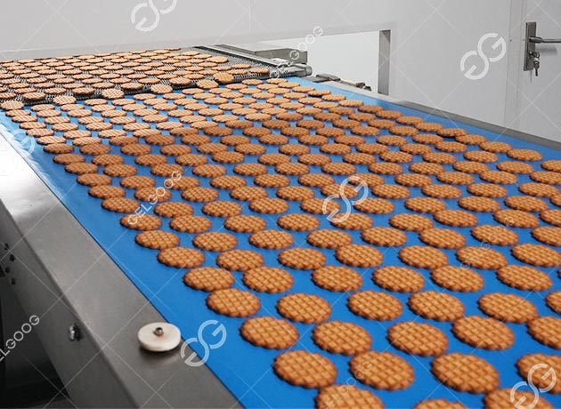Biscuit Making Profitable