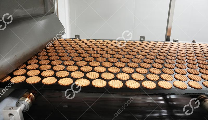 Automatic Chocolate Chip Production Line
