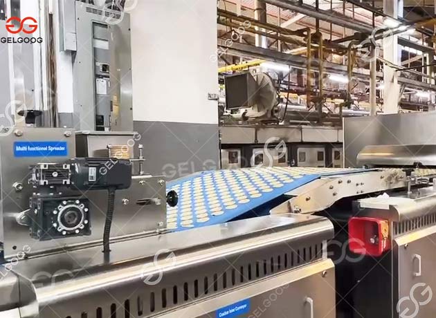 Biscuit Production Solution in Jamaica