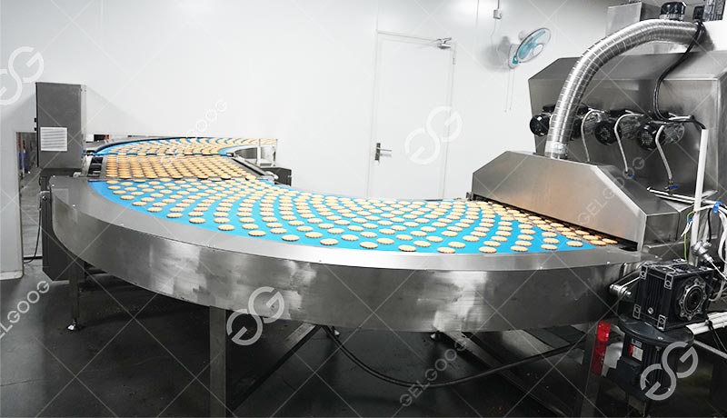 Automatic Soft Biscuit Production Line