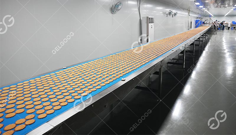 Soft Biscuit Production Line